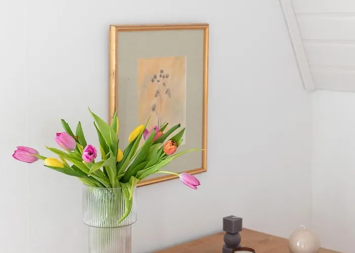 North - Marjaniemi Nyaraló